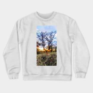 Terra Cont'd Crewneck Sweatshirt